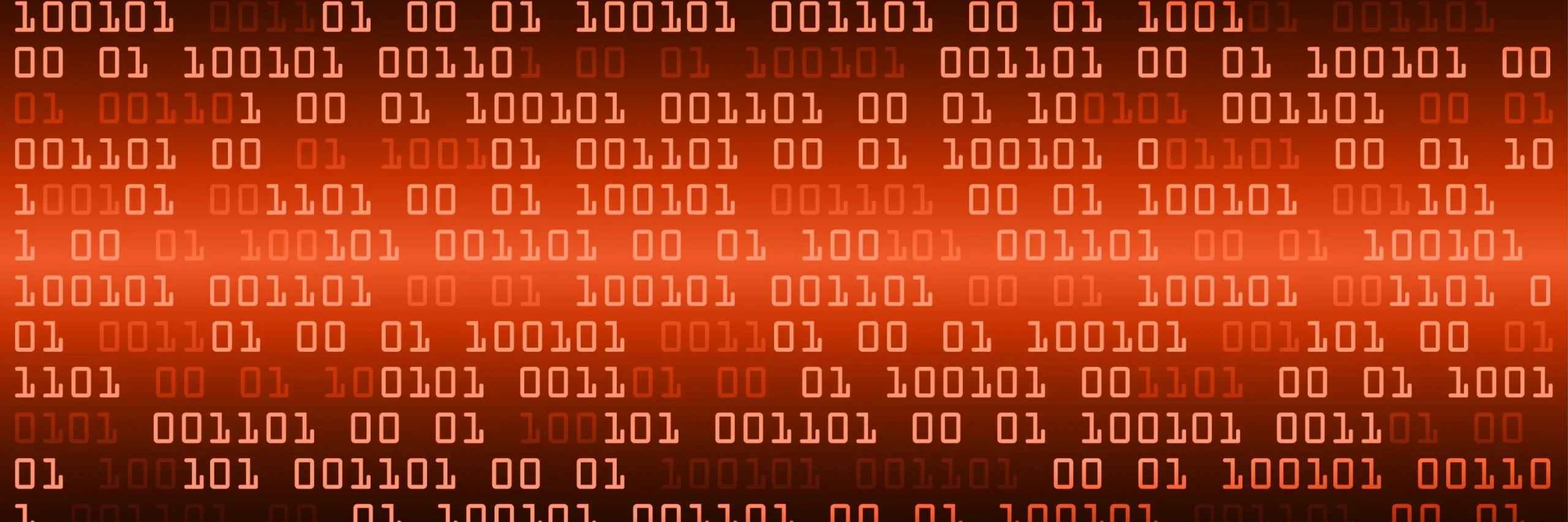 cyberatak na wk dzik