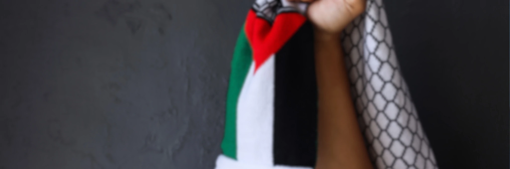 greta thunberg, nasze tortury w izraelskim więzieniu bledną przy gazie.