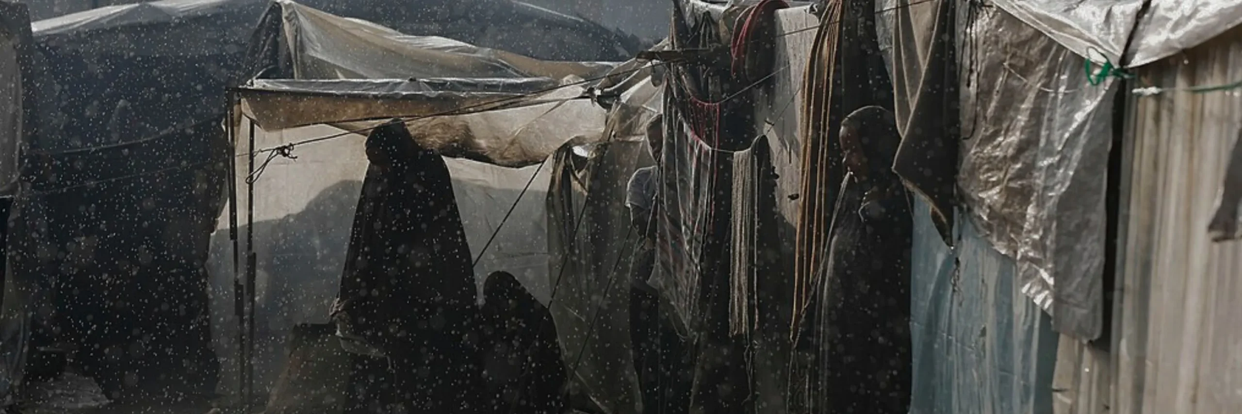 pah i polskie msz finansują opiekę zdrowotną w odizolowanych regionach palestyny