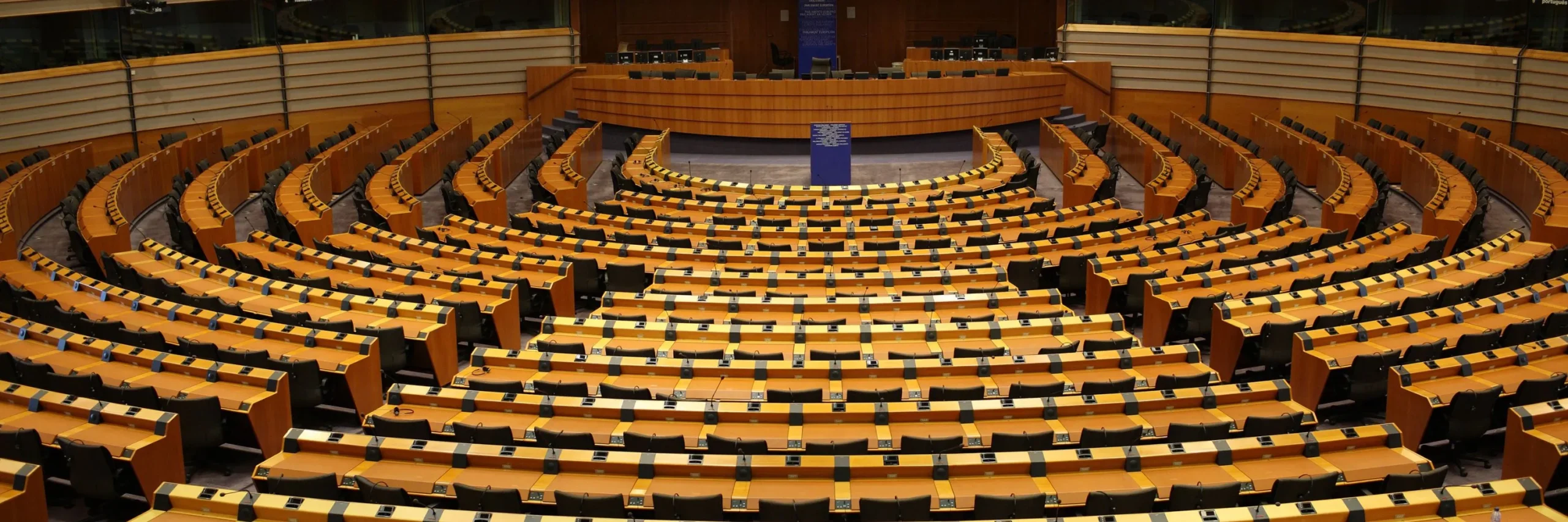 posłowie pe za dostępem do mediów społecznościowych od 16 lat