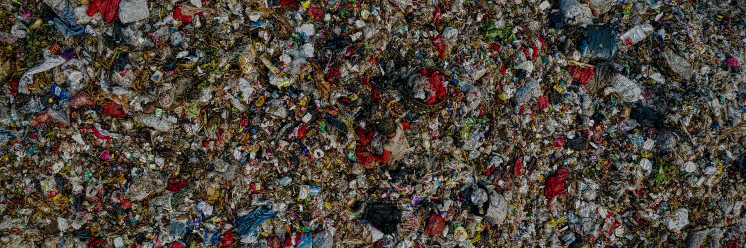 większość polaków przyznaje się do marnowania żywności – raport banków żywności